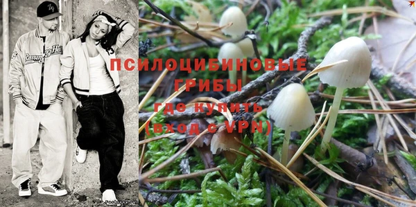 apvp Бронницы