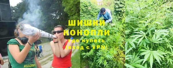 гашик Бородино