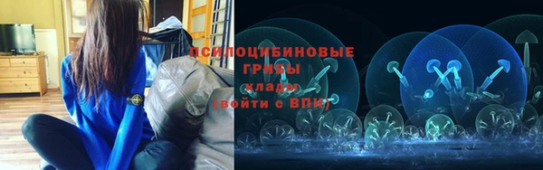 гашик Бородино