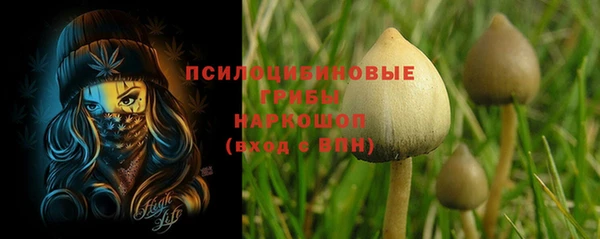 apvp Бронницы