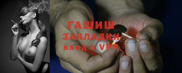 гашик Бородино