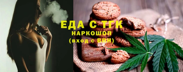 гашик Бородино